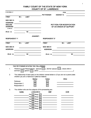New York Support Modification Petition