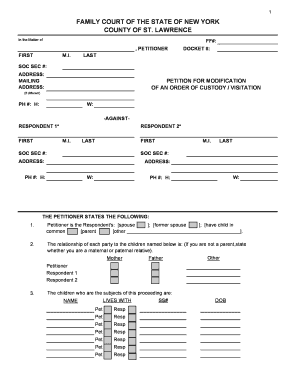 New York Custody Modification Petition