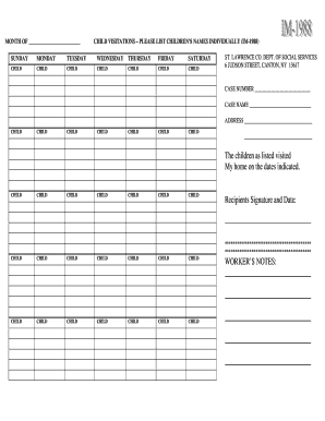 Child Visitation Record Form