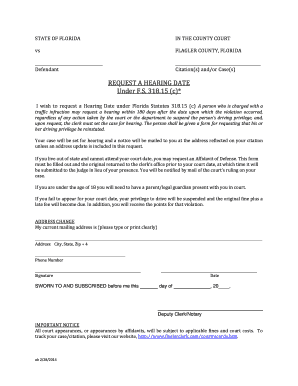 Florida Traffic Infraction Hearing Request