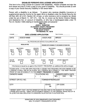 Form preview picture