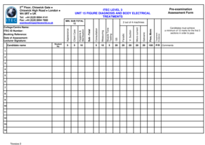 ITEC Level 3 Figure Diagnosis and Body Electrical Assessment Form
