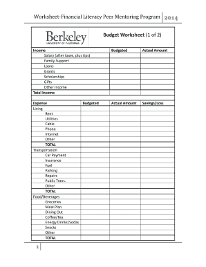 Financial Literacy Budget Worksheet