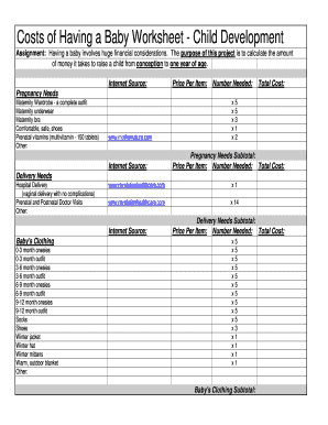 Costs of Having a Baby Worksheet