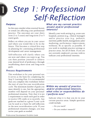 Professional Self-Reflection Worksheet