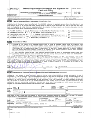IRS Form 990 2010