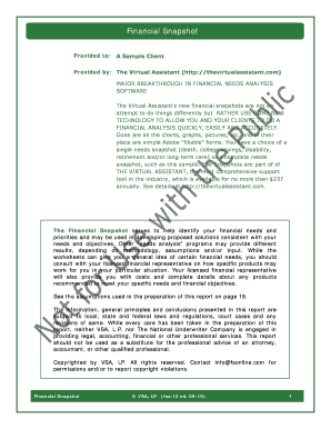 Financial Snapshot Form