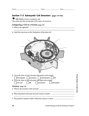 Eukaryotic Cell Structure Worksheet