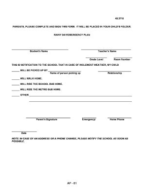 Rainy Day Emergency Plan Form