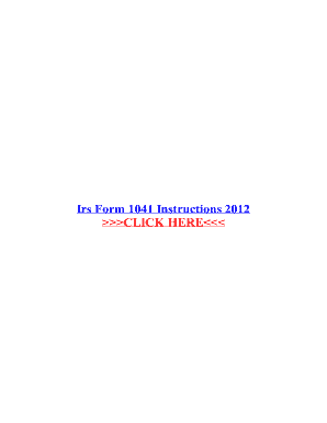 Printable Irs Form 1041 Instructions