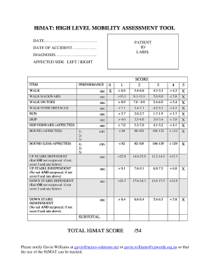 HiMAT: HIGH LEVEL MOBILITY ASSESSMENT TOOL