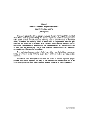 Process economics program