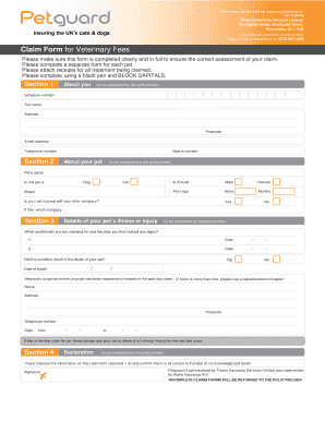 Form preview picture