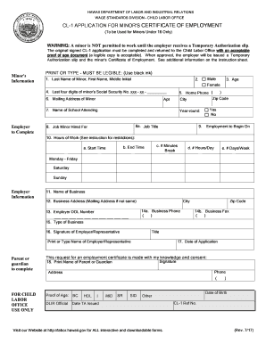 Hawaii Minor's Certificate of Employment Application