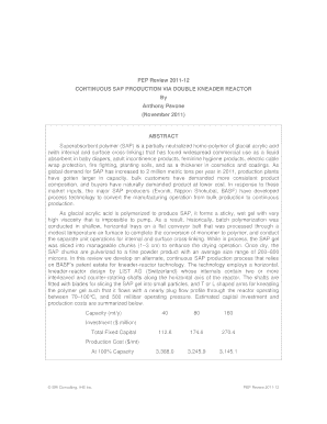 CONTINUOUS SAP PRODUCTION VIA DOUBLE KNEADER REACTOR