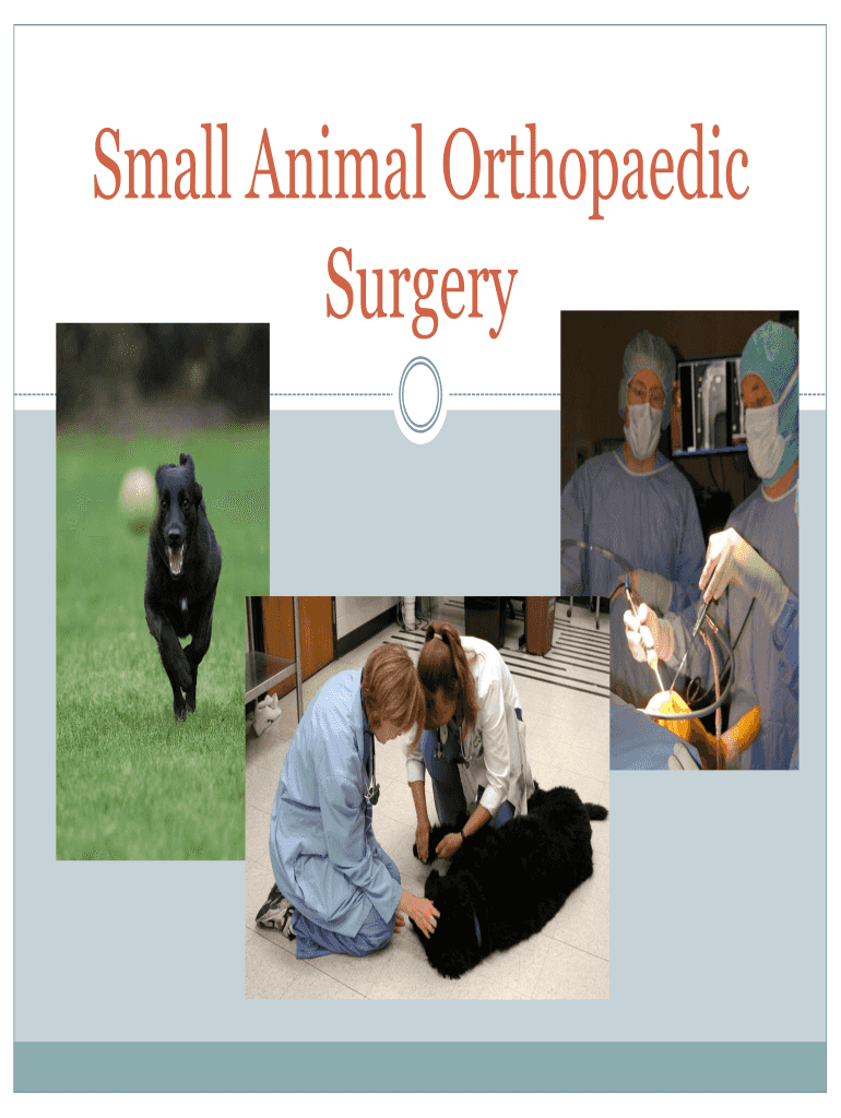 Fillable Online Small Animal Orthopaedic Fax Email Print pdfFiller