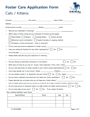 Foster Care Application Form