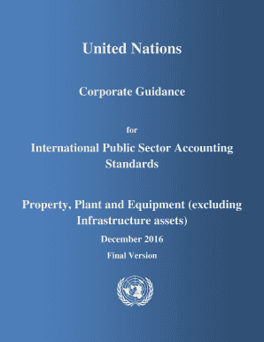 UN IPSAS Corporate Guidance Property, Plant and Equipment
