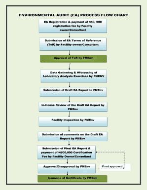 ENVIRONMENTAL AUDIT (EA) PROCESS FLOW CHART