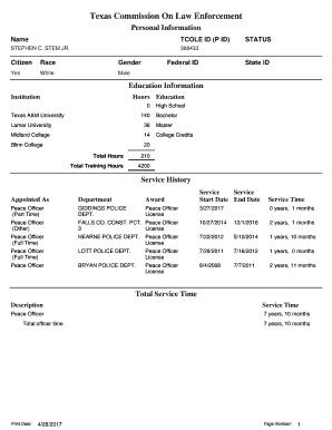 Form preview