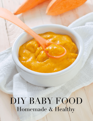 Fillable Online DIY BABY FOOD Fax Email Print - pdfFiller