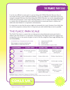 THE FLACC Ache SCALE Fill On-line, Printable, Fillable, Blank photograph relating to Pain Scale Chart Printable called THE FLACC Ache SCALE Fill On the web, Printable, Fillable, Blank