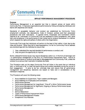 BPR-027 PERFORMANCE MANAGEMENT PROCEDURE