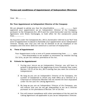 Re: Your Appointment as Independent Director of the Company