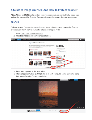 Fillable Online A Guide to Image Licenses (And How to Protect Yourself ...