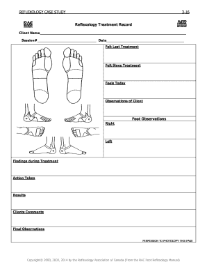 Reflexology Treatment Record