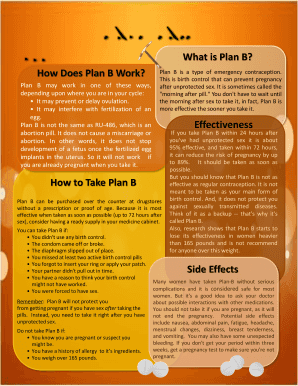 Fillable Online How Does Plan B Work Fax Email Print - pdfFiller