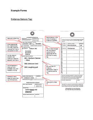 Form preview picture