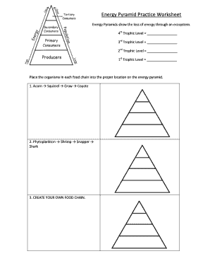 Energy Pyramid Practice Worksheet 2020-2023 - Fill and Sign Printable  Template Online