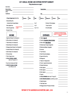 fillable online 2017 annual income and expense report summary income income expense report