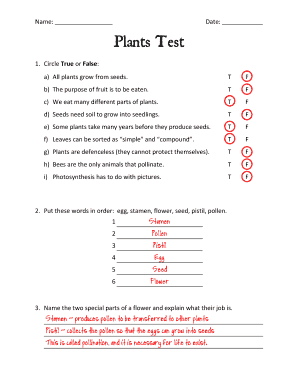 Form preview picture