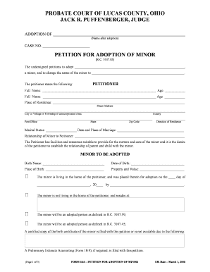 Petition for Adoption of Minor