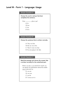 Level M Form 1 Language Usage Test