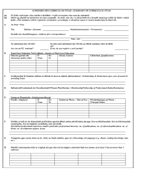 Curriculum Vitae Summary Form