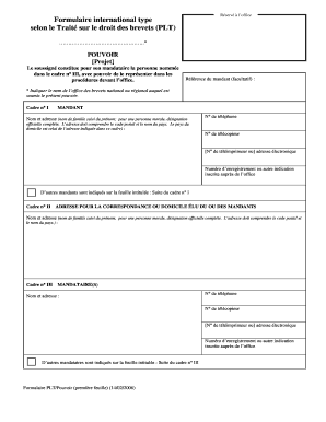 Formulaire international type selon le Traité sur le droit des brevets (PLT)