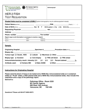 HER 2 FISH Test Requisition