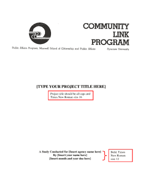 Executive Summary Template