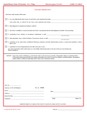 Interim/Plenary Order of Protection