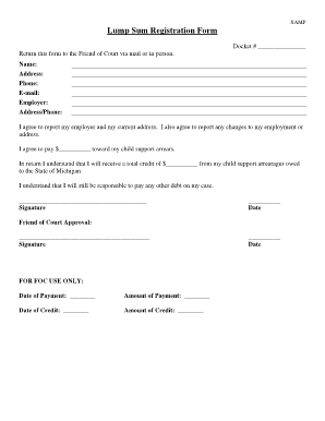 Michigan Child Support Lump Sum Registration Form