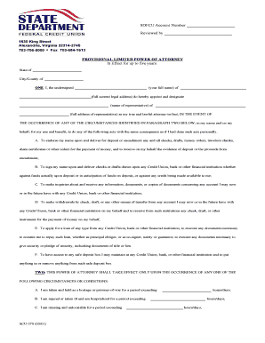 Provisional Limited Power of Attorney