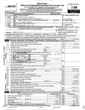 IRS Form 990-EZ