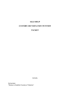 Custody or Visitation Petition