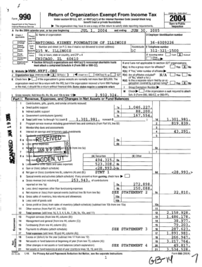 IRS Form 990 2004