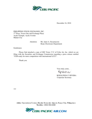 sec form 17 c template