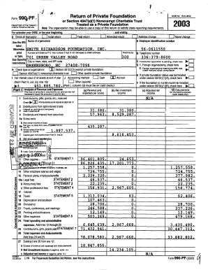 Form 990-PF 2003
