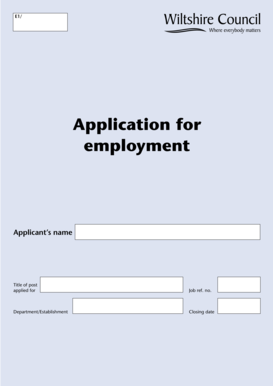 Wiltshire Council Application for Employment